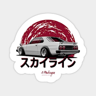 Skyline C210 Magnet