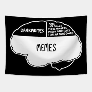 Memes on The Brain Tapestry