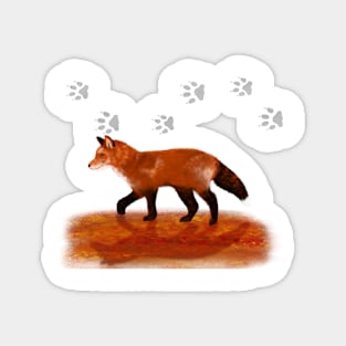 Red Fox Tracks Magnet