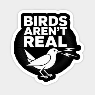 Birds Aren't Real Conspiration Magnet