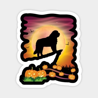 Saint Bernard Dog On Mountain & Moon Pumpkins Bat Halloween Magnet