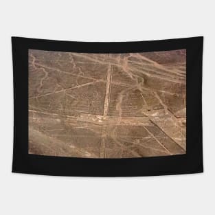 Parrot Nazca Lines, Peru. Tapestry