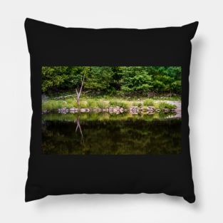 The Mirror of Nature Pillow