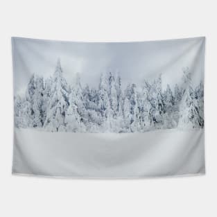 fir forest Tapestry