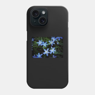 Scilla Flowers In The Morning Phone Case