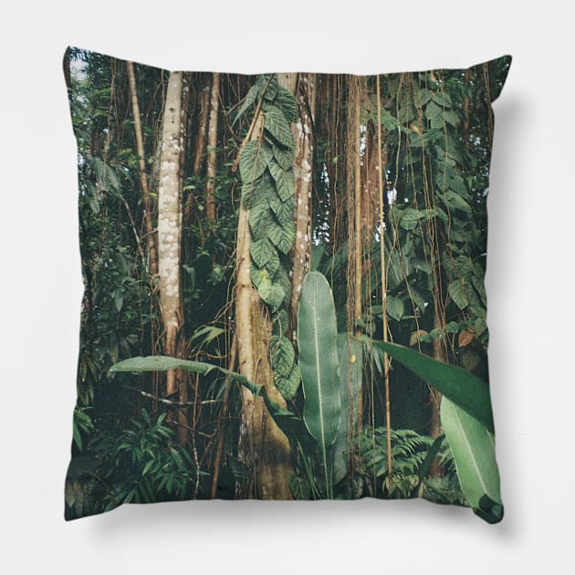 Jungle Serenity - Tropical Foliage Film Photo Art Pillow by HFGJewels