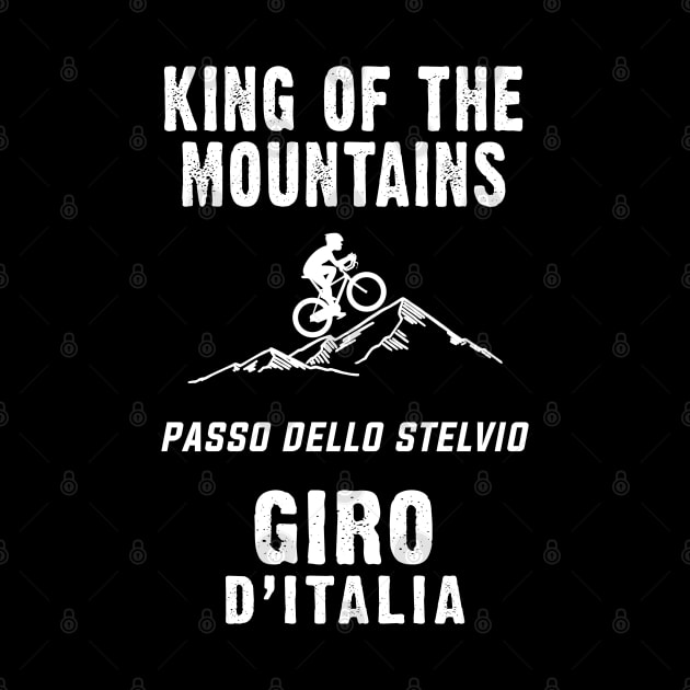 PASSO DELLO STELVIO King of the mountains Giro d`Italia For The Cycling Fans by Naumovski