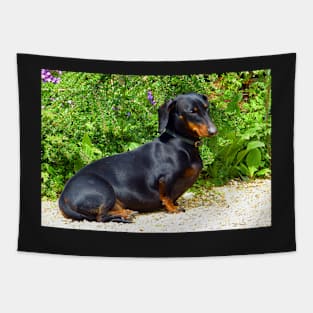 Cute Dachshund Tapestry