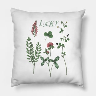 Irish Clover Botanical Illustration wit Text Pillow