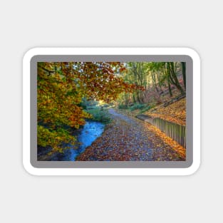 Hubbards Hills, Louth, Lincolnshire, Autumn Leaves Magnet