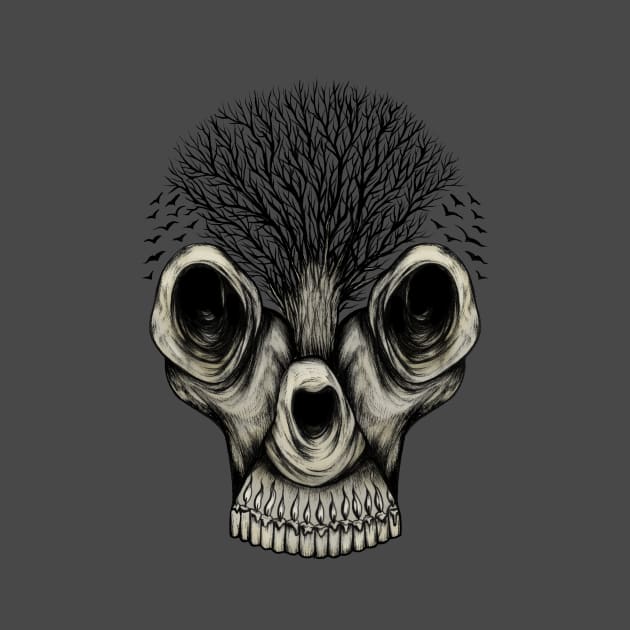 Skull Illusion by shaireproductions