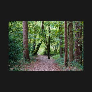 Woodland Trees Pathway With Fallen Leaves T-Shirt