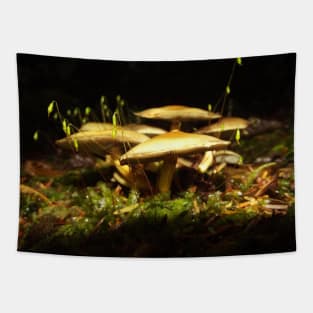 Mushroom Nature Photography Pacific Northwest Tapestry
