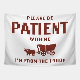 Please Be Patient with Me I'm from the 1900s shirt,  Funny Meme Tapestry