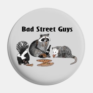 Racoon, skunk & opossum Pin