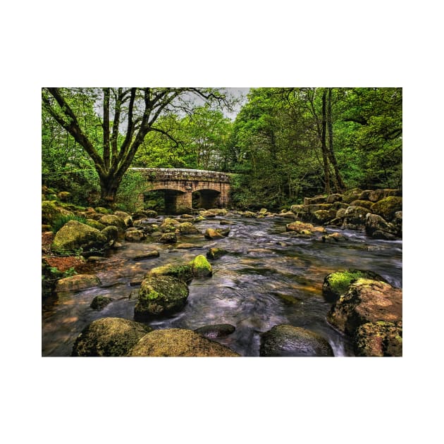 Shaugh Bridge & River Plym by galpinimages