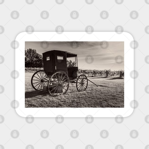 Old Horse Buggy 3 Magnet by Robert Alsop