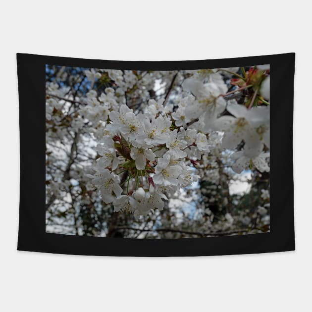 White flowers: Spring time - Flowers, sunshine, happiness and action Tapestry by fantastic-designs