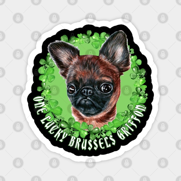 Brussels griffon funny sale