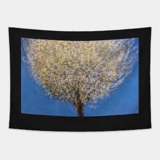 Cherry Tree Multiple Exposure Tapestry