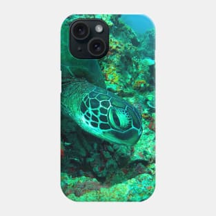 Green sea turtle Phone Case