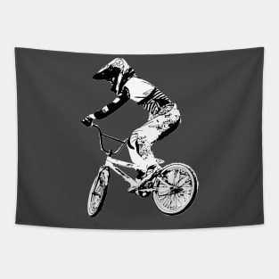 bmx Tapestry