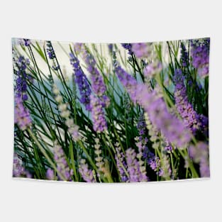 Peace and Calm by Lavender Blooms Tapestry