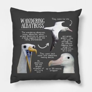 Animal facts - Wandering Albatross Pillow