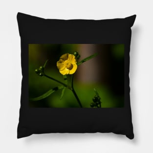 Closeup of a bright yellow buttercup Pillow