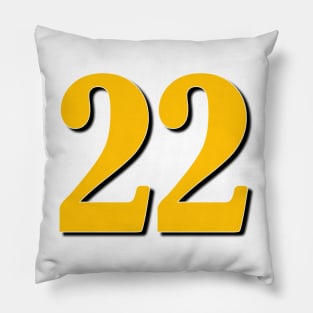 22 Pillow