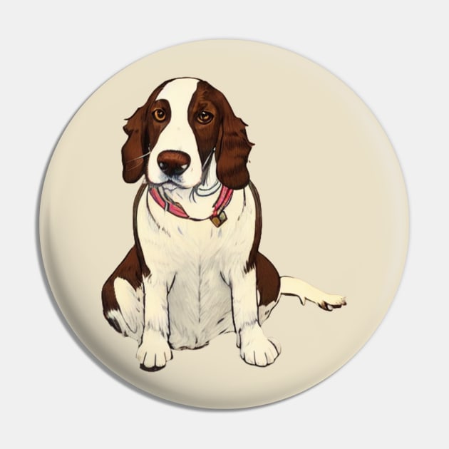 Welsh Springer Spaniel Dog Sitting Watching You Pin by Mochabonk