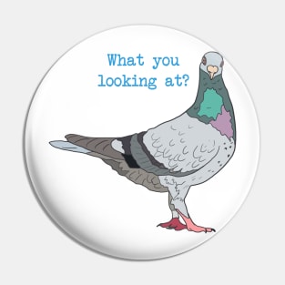 What you Looking at? Pigeon Pin