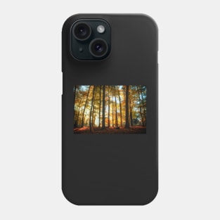 Beech Wood Grove Phone Case