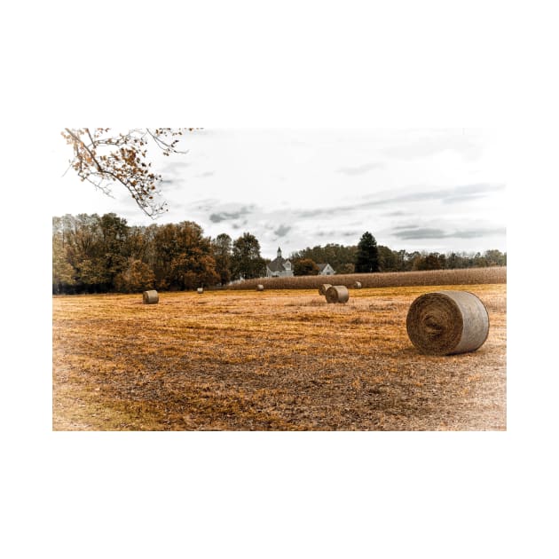 Harvest Time - Hay Bales by JimDeFazioPhotography