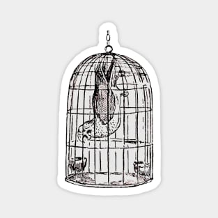 Parrot in the cage Magnet