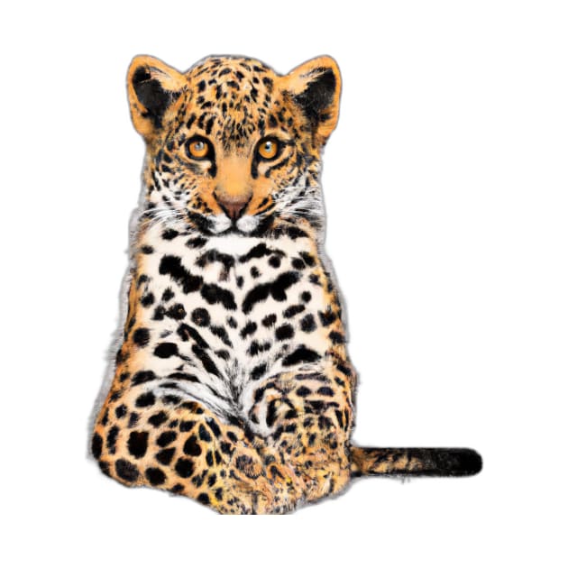 Cute Leopard Drawing by Play Zoo