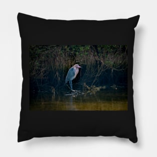 Stately Reddish Egret Pillow