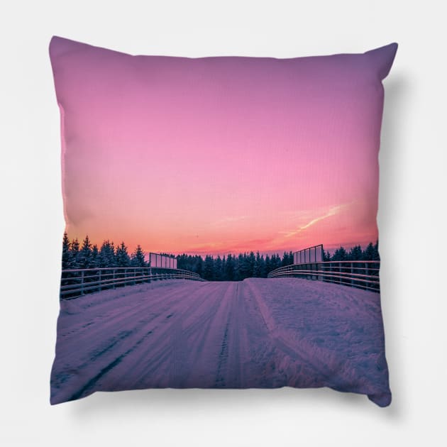 Winter Wonderland Pillow by iluphoto