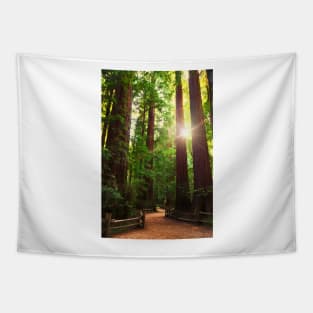 Redwood Forest Tapestry