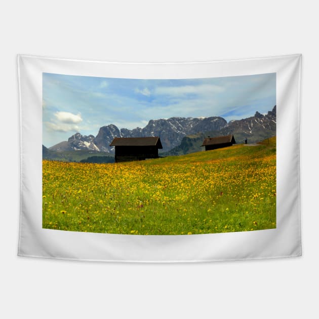 Chalets in the Seiser Alm Tapestry by annalisa56