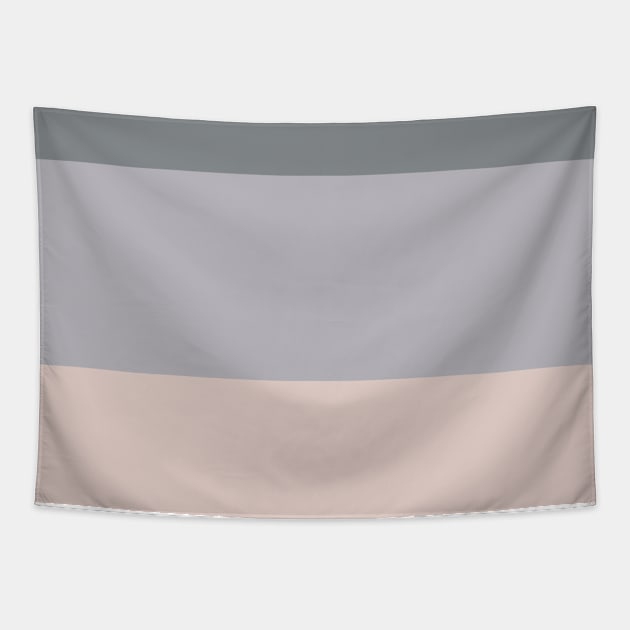 A prime combination of Very Light Pink, Philippine Gray, Silver and Lotion Pink stripes. Tapestry by Sociable Stripes