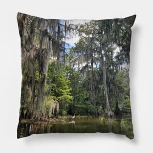 Bird photography Pillow