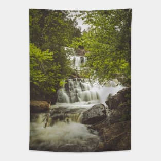 Rats Waterfall Mont-Tremblant National Park, Quebec V1 Tapestry