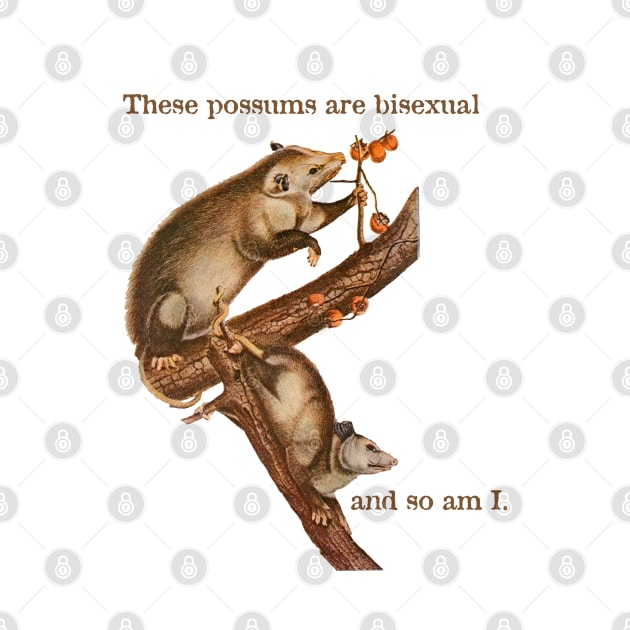 These Possums Are Bisexual and So Am I by cobwebjr