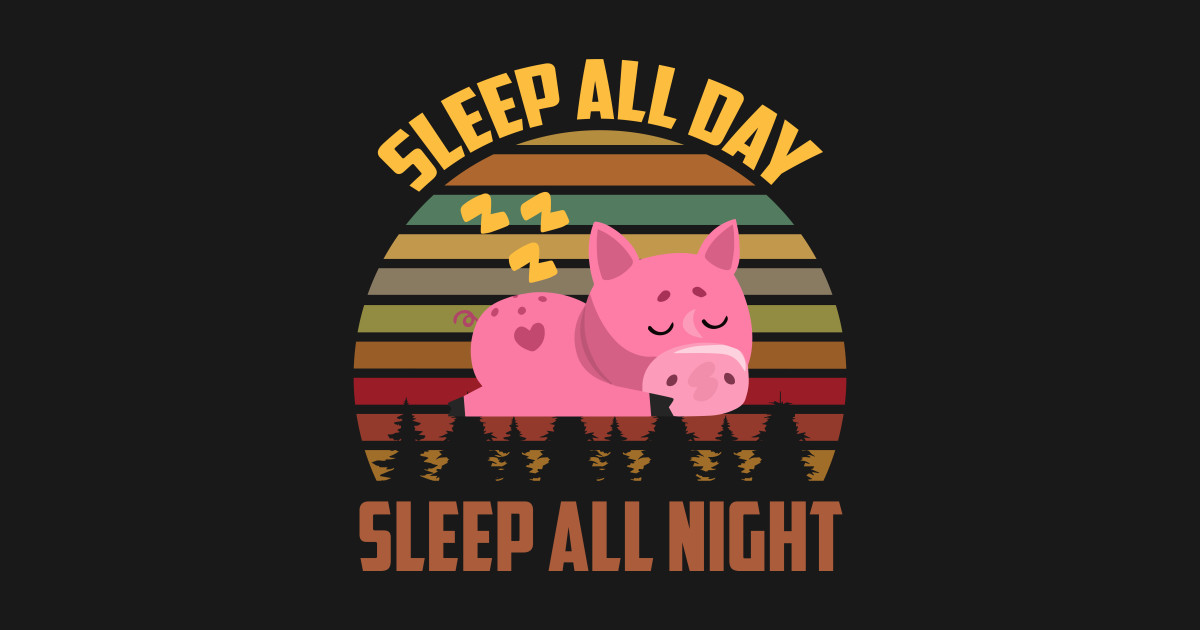 Vintag Sleep All Day Sleep All Night Pig Cute Mug Teepublic