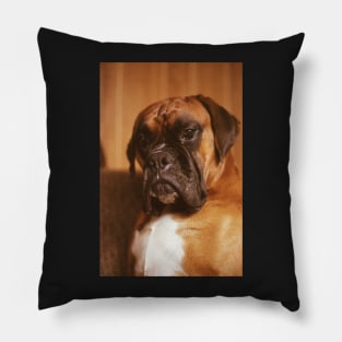 the boxer Pillow