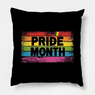 PRIDE MONTH, LGBTQ, equality, retro vinatage Pillow