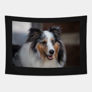 Sheltie Tapestry