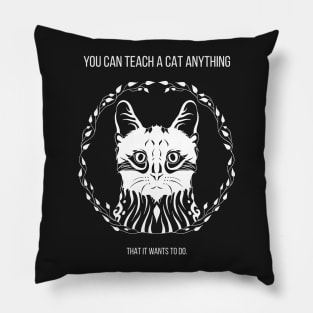 you can teach a cat anything - that it wants to do Pillow