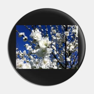 White Plum Blossom Pin